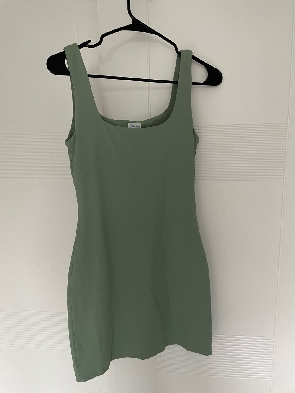 Blue Rain x Francesca's Sage Green Sleeveless Dress